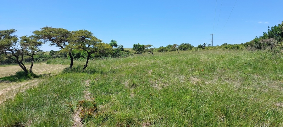 0 Bedroom Property for Sale in Kwelera Eastern Cape